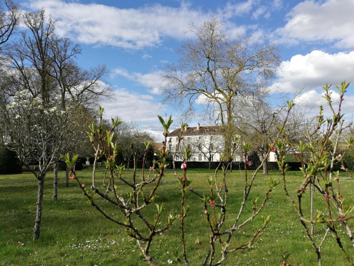 Chateau De Brinville Saint-Sauveur-sur-Ecole Bagian luar foto