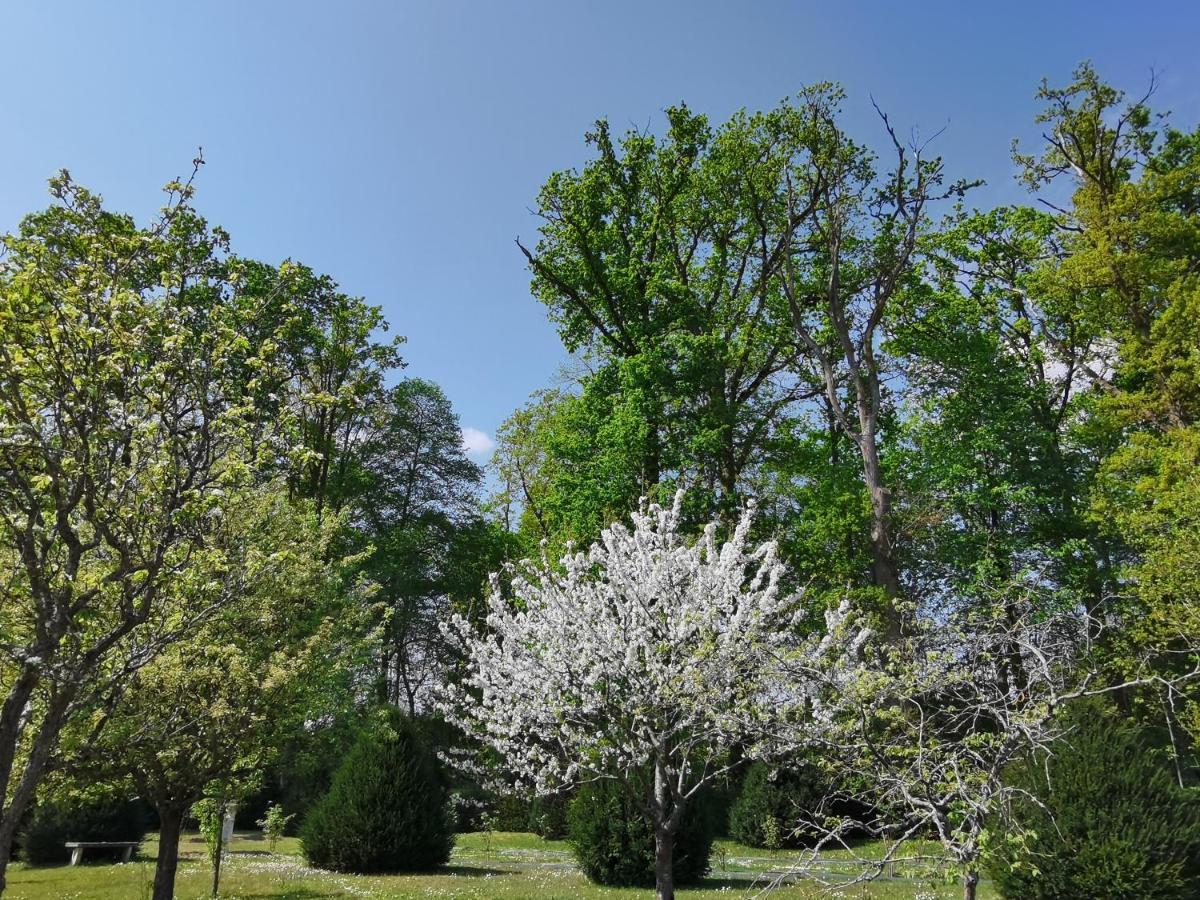 Chateau De Brinville Saint-Sauveur-sur-Ecole Bagian luar foto