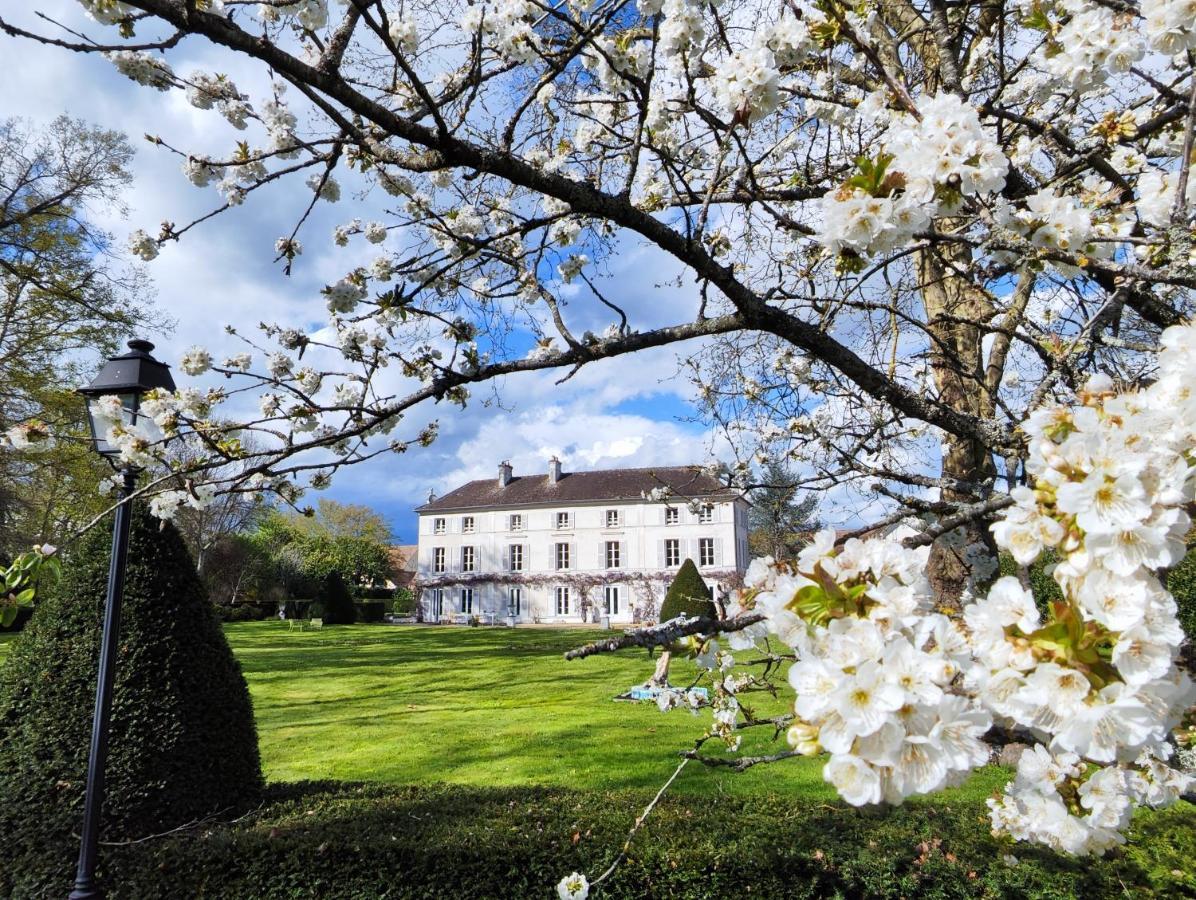 Chateau De Brinville Saint-Sauveur-sur-Ecole Bagian luar foto