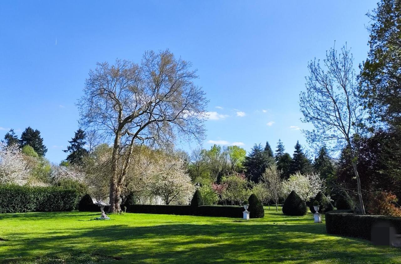 Chateau De Brinville Saint-Sauveur-sur-Ecole Bagian luar foto