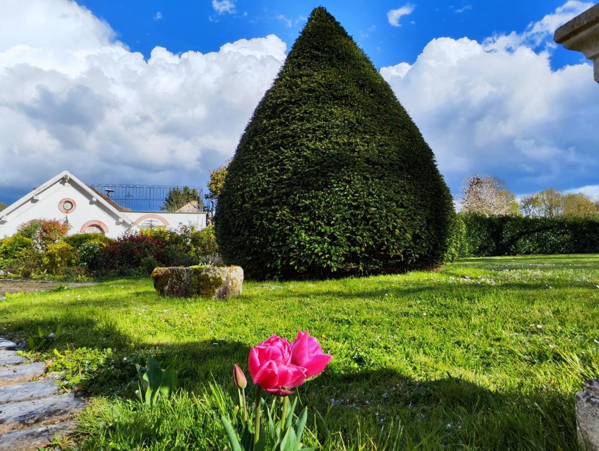 Chateau De Brinville Saint-Sauveur-sur-Ecole Bagian luar foto